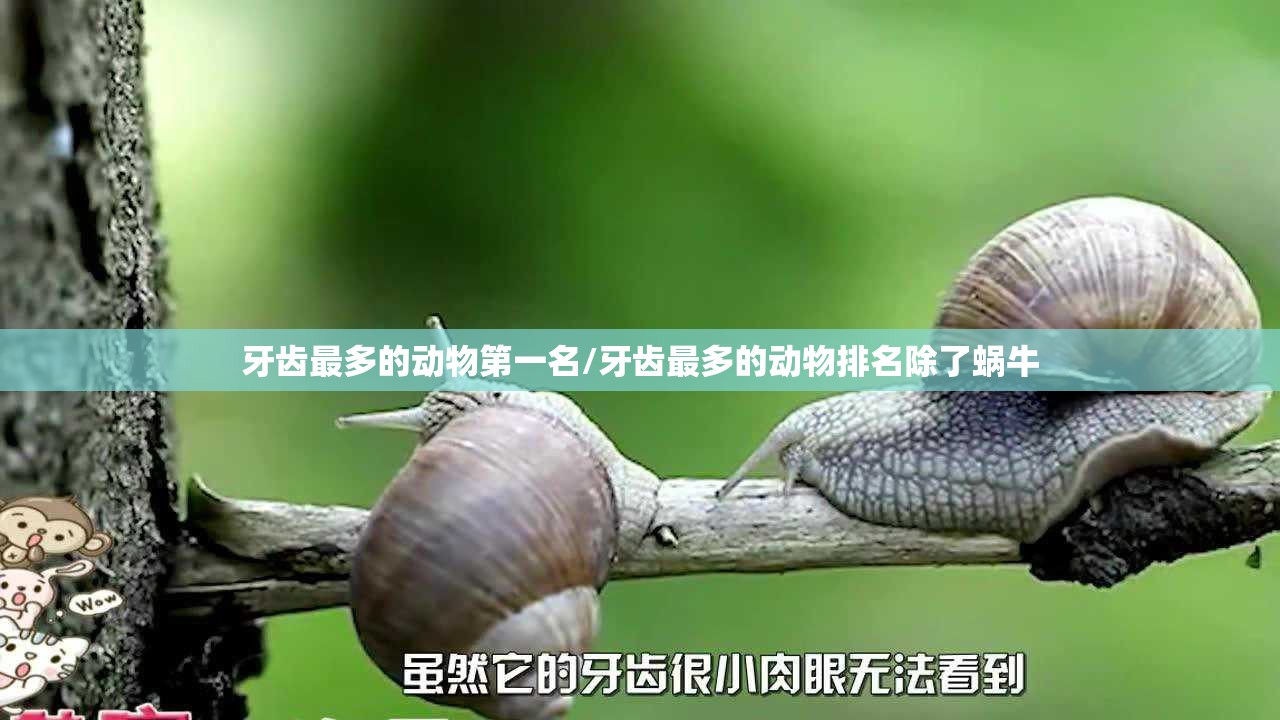 牙齿最多的动物第一名/牙齿最多的动物排名除了蜗牛