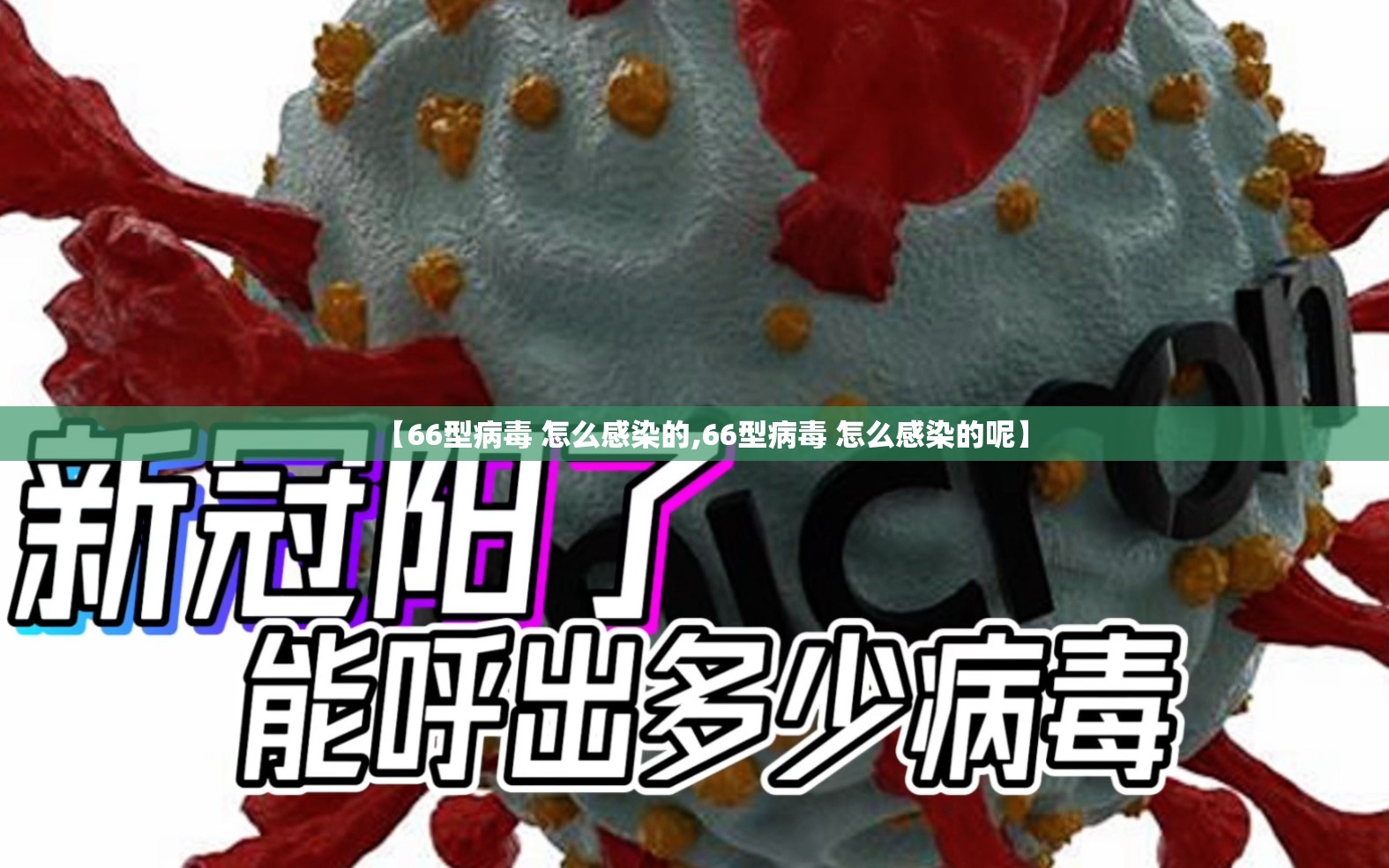 【66型病毒 怎么感染的,66型病毒 怎么感染的呢】