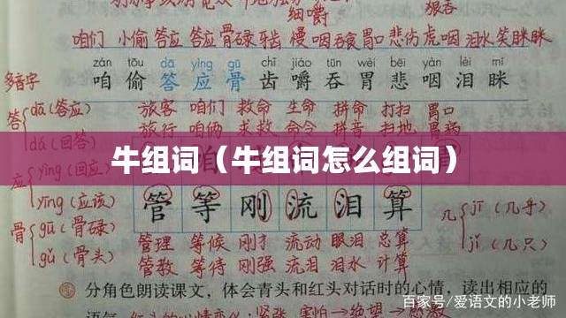 牛组词（牛组词怎么组词）