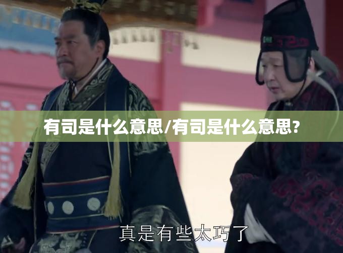 有司是什么意思/有司是什么意思?