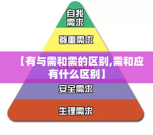 【有与需和需的区别,需和应有什么区别】