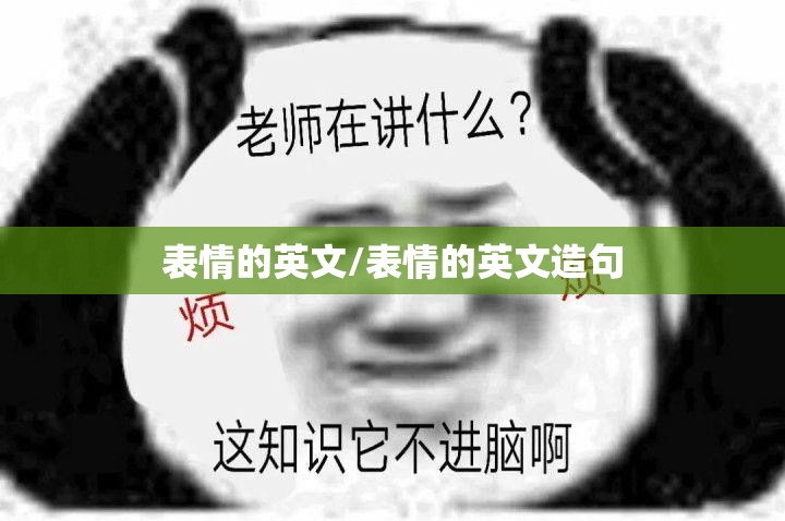 表情的英文/表情的英文造句