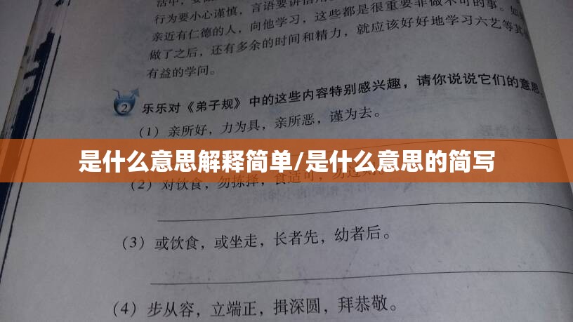 是什么意思解释简单/是什么意思的简写