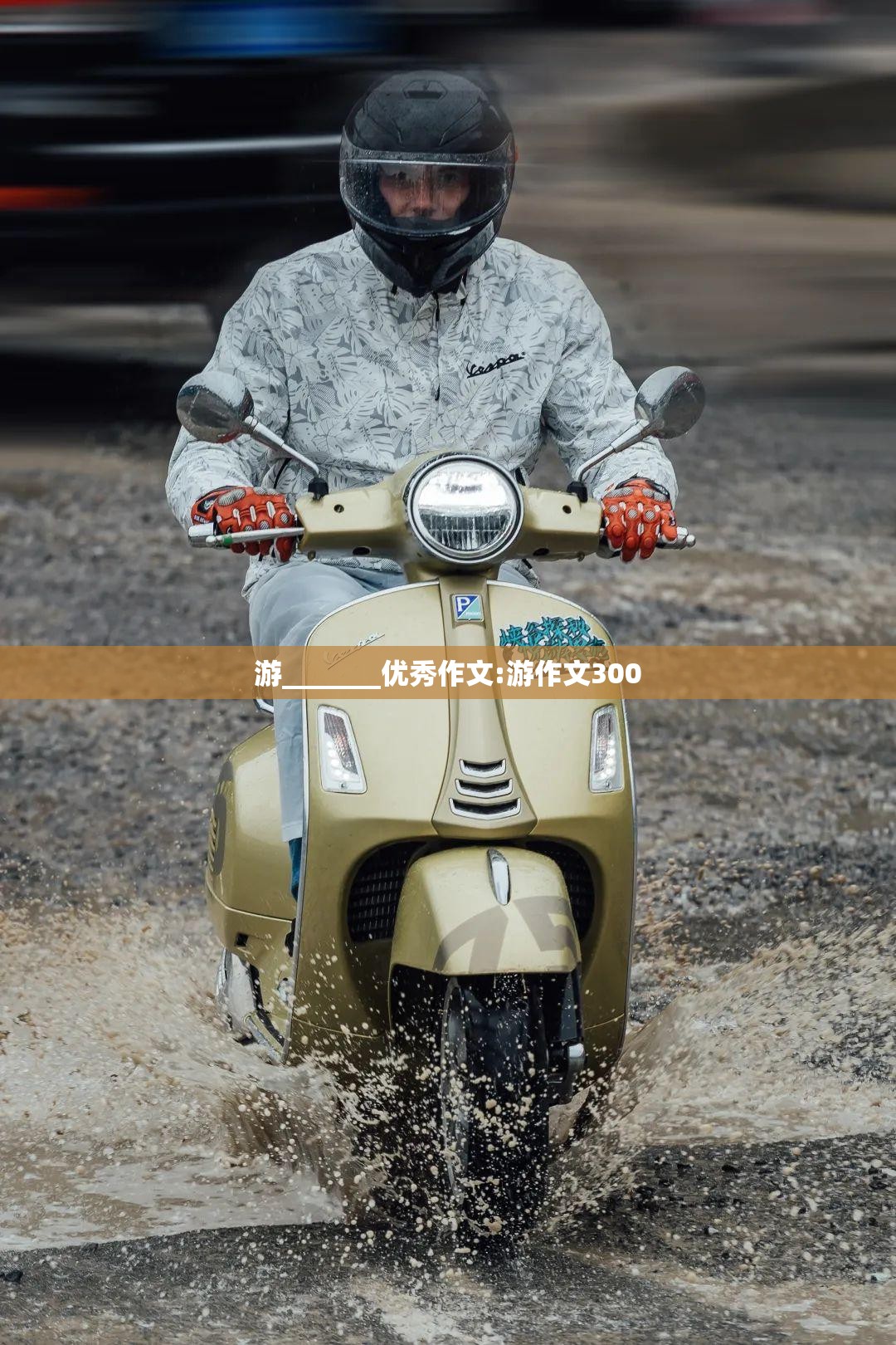 游_______优秀作文:游作文300
