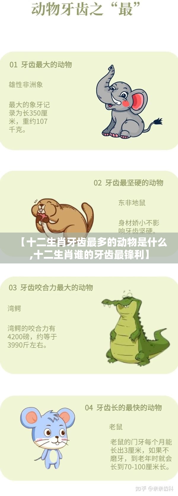 【十二生肖牙齿最多的动物是什么,十二生肖谁的牙齿最锋利】