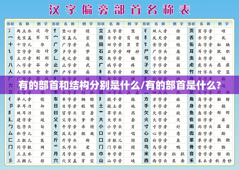 有的部首和结构分别是什么/有的部首是什么?