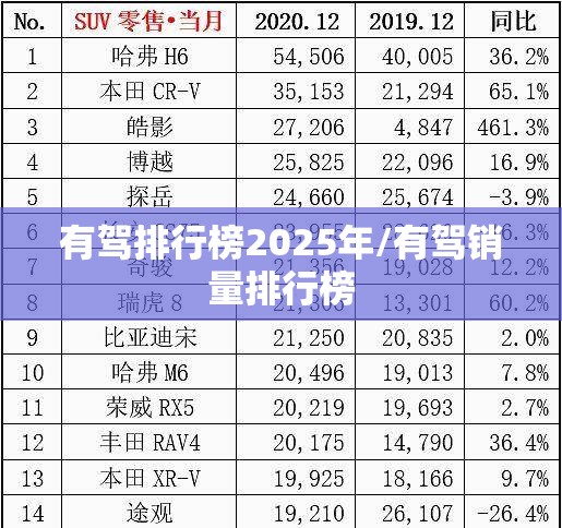 有驾排行榜2025年/有驾销量排行榜