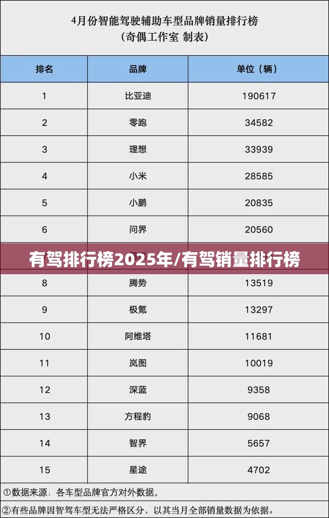 有驾排行榜2025年/有驾销量排行榜