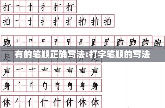 有的笔顺正确写法:打字笔顺的写法