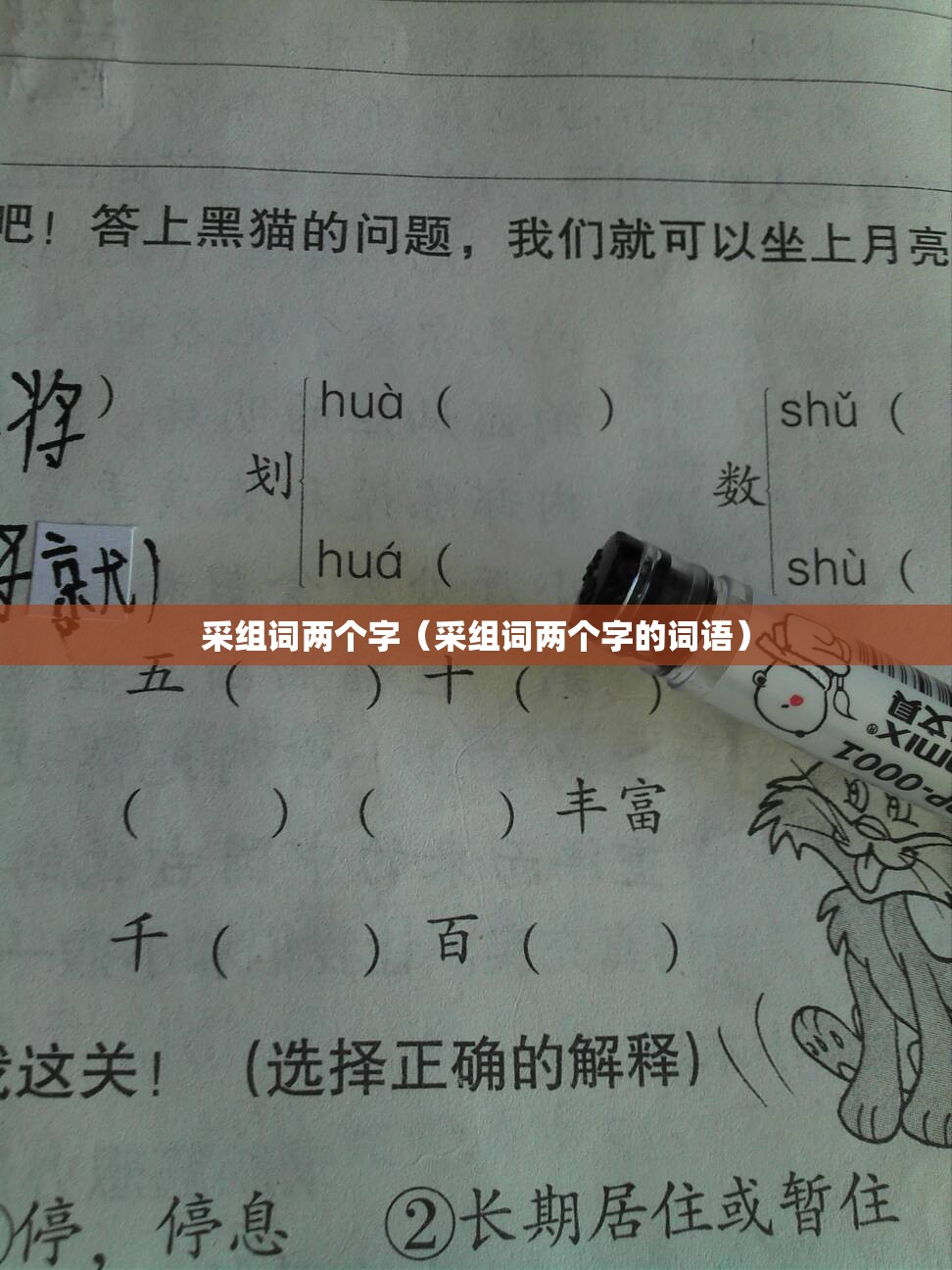 采组词两个字（采组词两个字的词语）