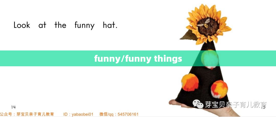 funny/funny things