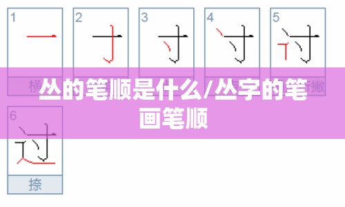 丛的笔顺是什么/丛字的笔画笔顺