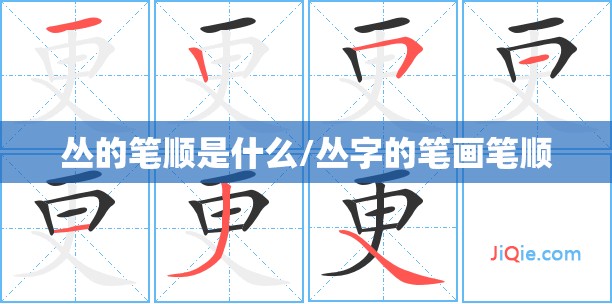 丛的笔顺是什么/丛字的笔画笔顺
