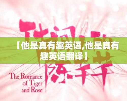 【他是真有趣英语,他是真有趣英语翻译】