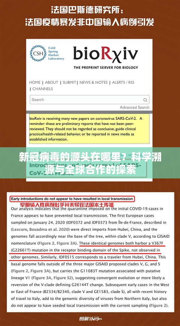 新冠病毒的源头在哪里？科学溯源与全球合作的探索