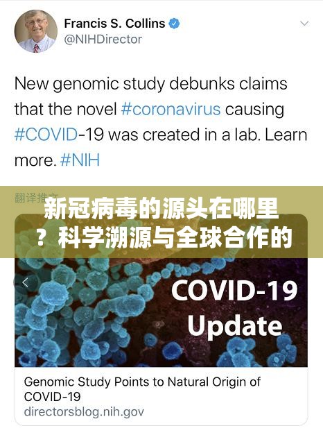 新冠病毒的源头在哪里？科学溯源与全球合作的探索