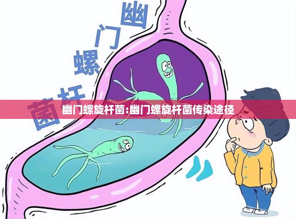 幽门螺旋杆菌:幽门螺旋杆菌传染途径