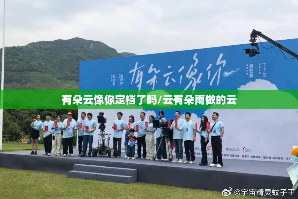 有朵云像你定档了吗/云有朵雨做的云