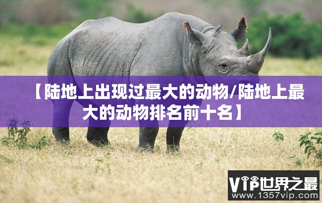 【陆地上出现过最大的动物/陆地上最大的动物排名前十名】