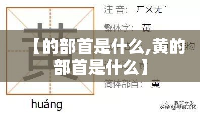 【的部首是什么,黄的部首是什么】