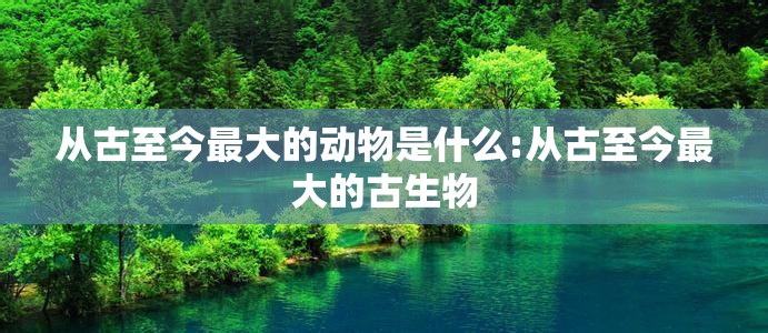 从古至今最大的动物是什么:从古至今最大的古生物