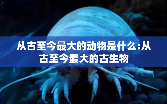 从古至今最大的动物是什么:从古至今最大的古生物