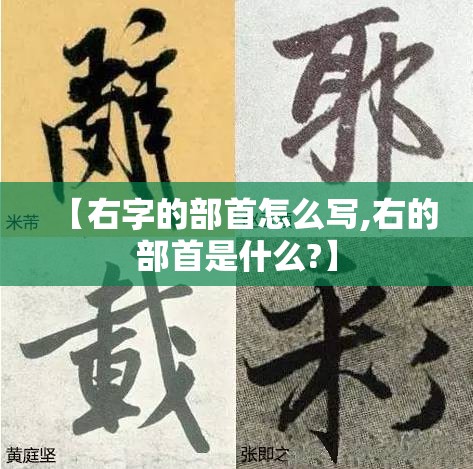【右字的部首怎么写,右的部首是什么?】