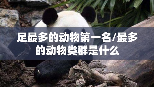 足最多的动物第一名/最多的动物类群是什么