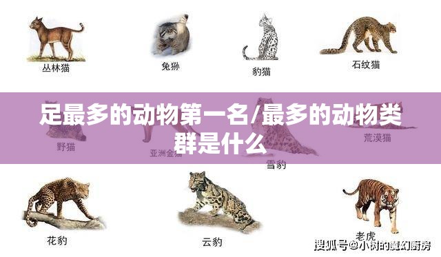 足最多的动物第一名/最多的动物类群是什么