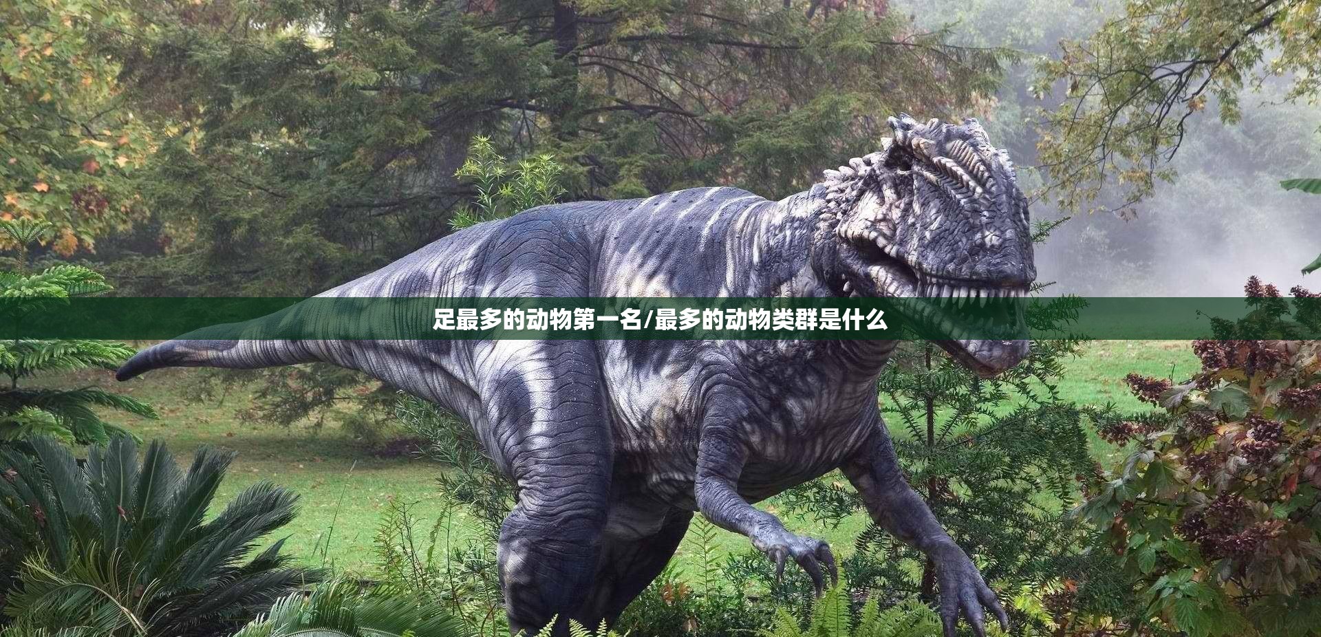 足最多的动物第一名/最多的动物类群是什么