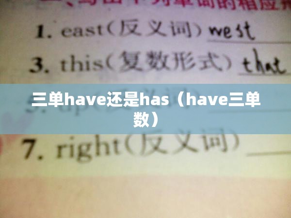 三单have还是has（have三单数）