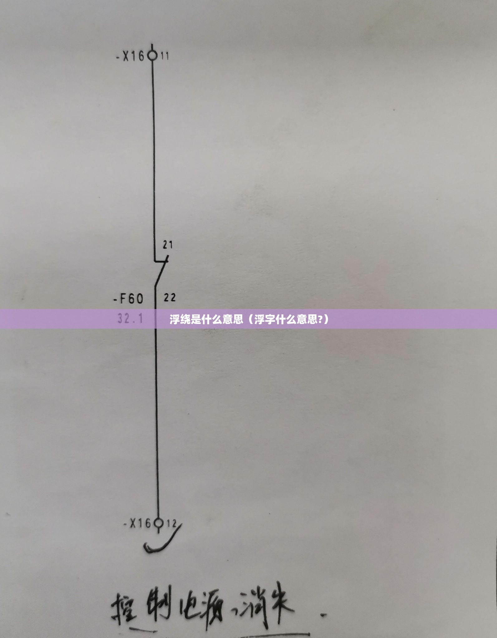 浮绕是什么意思（浮字什么意思?）