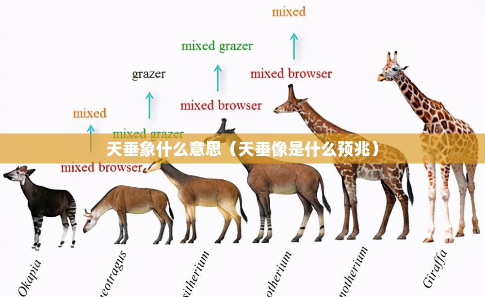 天垂象什么意思（天垂像是什么预兆）