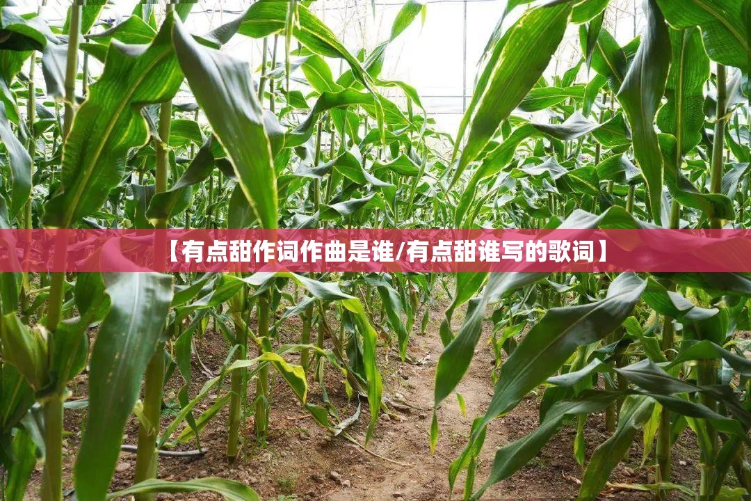 【有点甜作词作曲是谁/有点甜谁写的歌词】