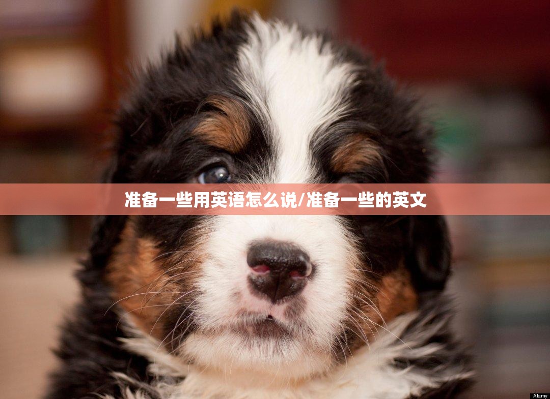 准备一些用英语怎么说/准备一些的英文