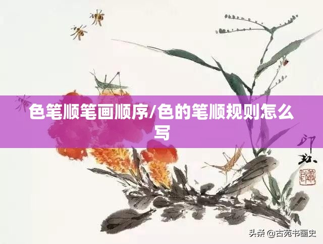 色笔顺笔画顺序/色的笔顺规则怎么写