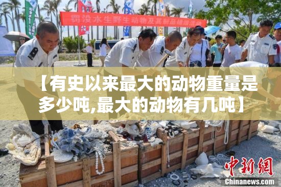 【有史以来最大的动物重量是多少吨,最大的动物有几吨】