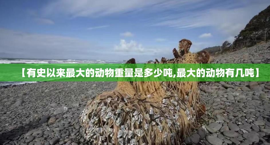 【有史以来最大的动物重量是多少吨,最大的动物有几吨】