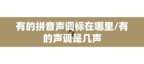 有的拼音声调标在哪里/有的声调是几声