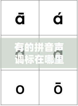 有的拼音声调标在哪里/有的声调是几声