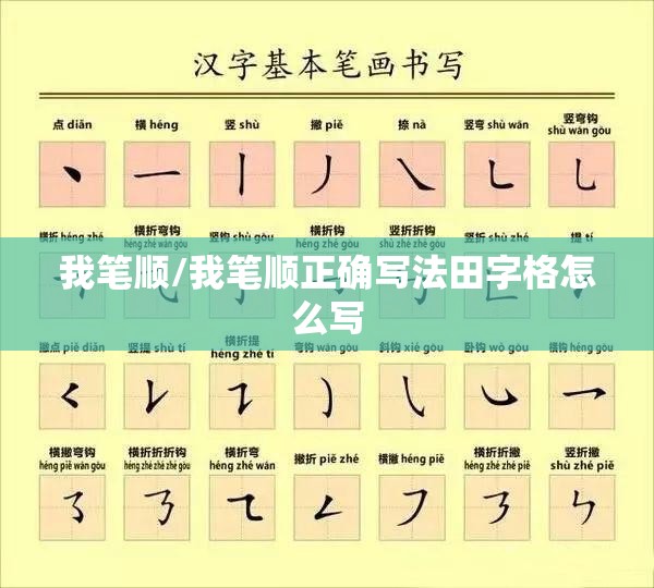 我笔顺/我笔顺正确写法田字格怎么写