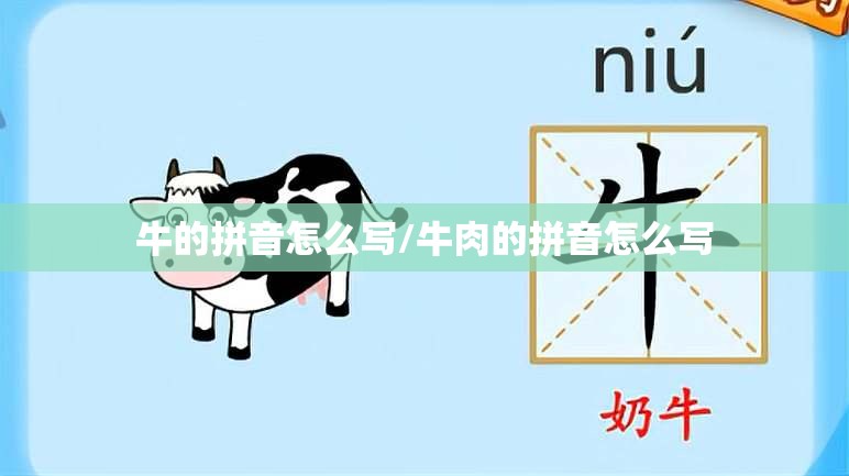 牛的拼音怎么写/牛肉的拼音怎么写