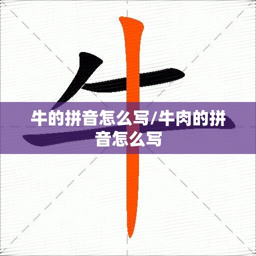 牛的拼音怎么写/牛肉的拼音怎么写