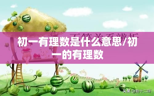 初一有理数是什么意思/初一的有理数