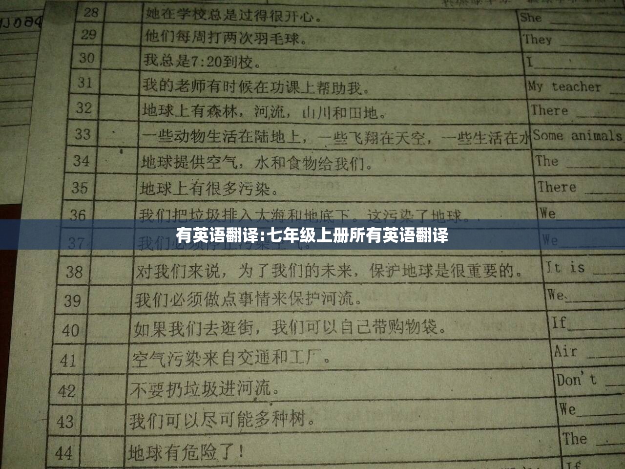 有英语翻译:七年级上册所有英语翻译