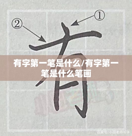有字第一笔是什么/有字第一笔是什么笔画