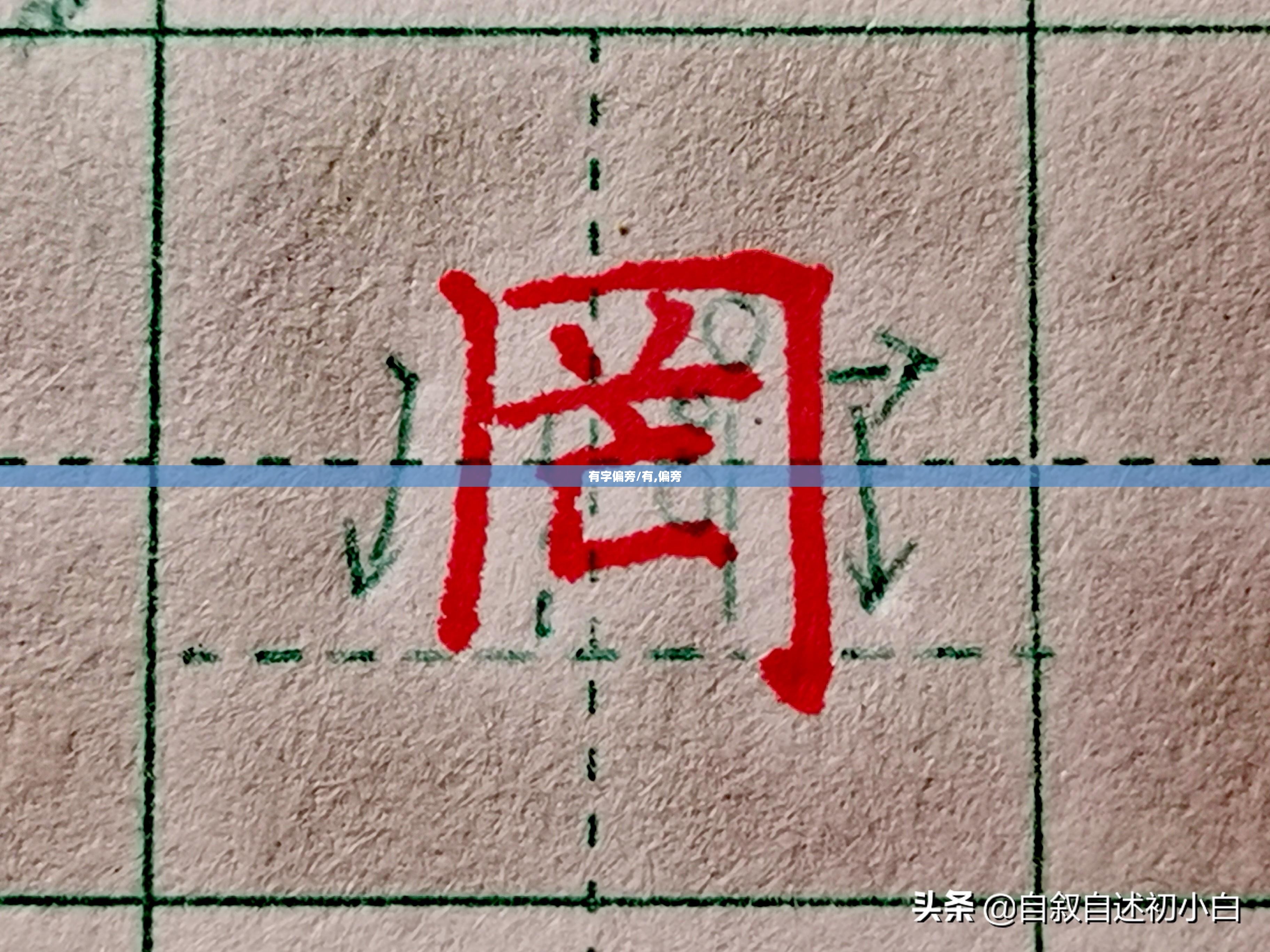 有字偏旁/有,偏旁