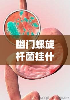 幽门螺旋杆菌挂什么科（儿童查幽门螺旋杆菌挂什么科）