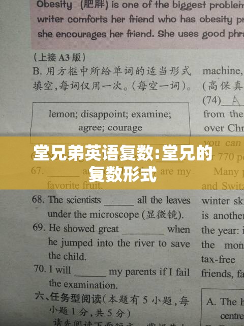 堂兄弟英语复数:堂兄的复数形式