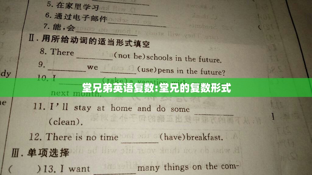 堂兄弟英语复数:堂兄的复数形式